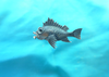 Silver_Fish_Brooch